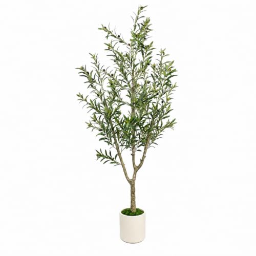 Olive Trees Artificial Indoor, 6ft Tall Olive Tree with White Planter, Faux olive tree with Natural Wood Trunk & Realistic Leaves & Lifelike Fruits, Artificial Plants for Home Decor Office Living Room