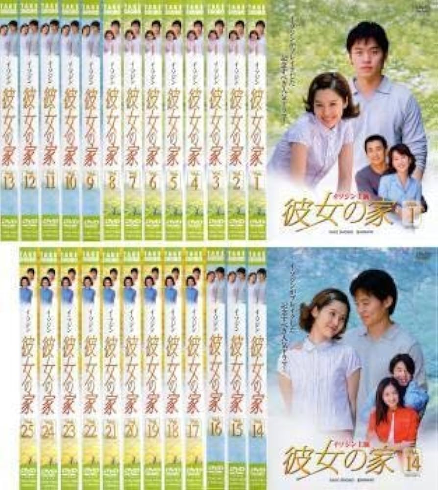 全巻セット【中古】DVD▼恋愛時代(8枚セット)第1話～最終話 レンタル落ち 恋愛時代 全8枚 第1話～最終話 レンタル落ち 全巻セット 中古 DVD