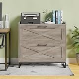 2 Drawer Lateral File Cabinet, Filing Cabinet with Charging Station for Letter/Legal/A4 Size Hanging Files, Modern Farmhouse File Cabinet for Home Office, Printer Stand with Storage, Washed Gray