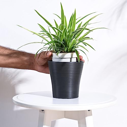Image of UGAOO Rezer Tivoli Plastic Flower Pot (Diameter 4.7 Inches, Black) | Durable Planter for Home, Balcony, Garden & Patio | Indoor & Outdoor Use | Stylish Gamla for Living Room & Decor