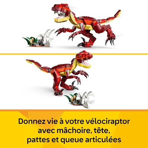 Photo complémentaire