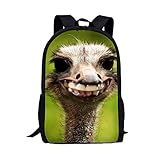 Dellukee おもしろスクールバックパック 子供 男の子 女の子 中学校 小学生用 ブックバッグ 大型 丈夫 デイパック, オーストリッチ, One_Size, デイパック バックパック