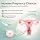 Home Insemination Kit for Women – Safe & Comfortable Artificial Insemination Kit with Discreet Design for Fertility & Family Planning - 4