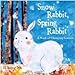 Snow Rabbit, Spring Rabbit a Book of Changing Seasons