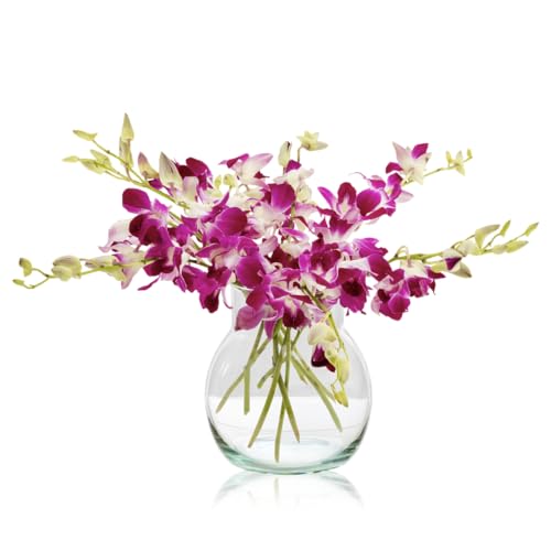 Sendabunch Fresh Singapore Dendrobium Orchids Bouquet - 10 Beautiful Stems for a Touch of Eastern Charm - 14-Day Freshness Guarantee - Perfect for Birthdays, Anniversaries & Special Occasions
