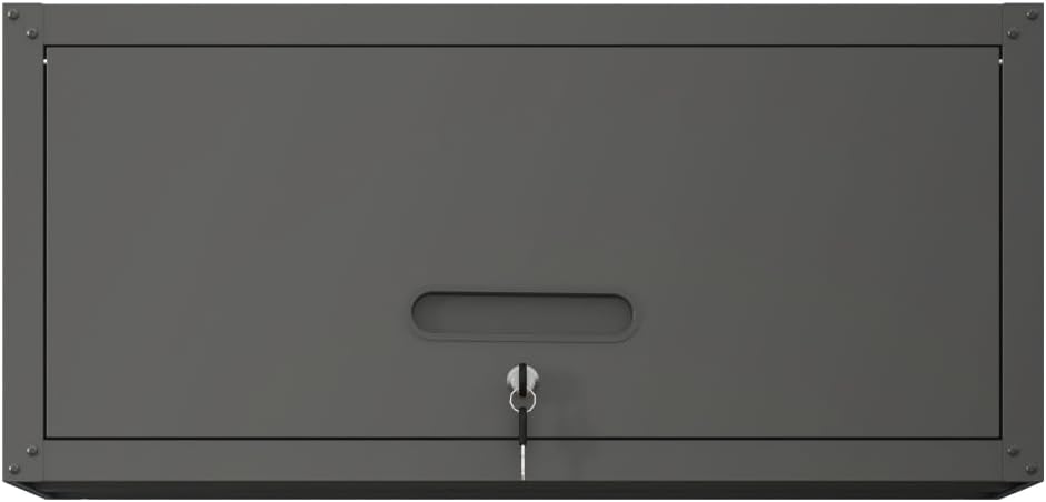 Wall-Mounted Tool Storage Cabinet, Garage Organizer, Assembly Required