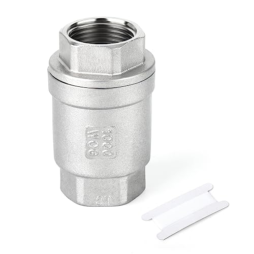 TAISHER 1PCS 304 Stainless Steel 1" NPT Female Vertical Check Valve，Backflow Prevention, One Way Spring Check Valves CF8 WOG 1000 -  FC-820S