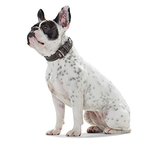 HUNTER MADEIRA SPECIAL Hundehalsband, Leder, griffig, anschmiegsam, 50 (S-M), braun