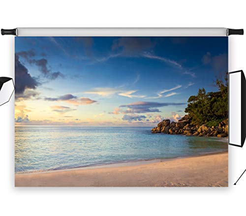 LB Ocean Backdrops for Photography 7x5ft Vinyl Blue Sea Water and Clean Sand Background Custom Sunset Beach Photo Backdrop for Children Kids Adult Portrait Photo Studio Props