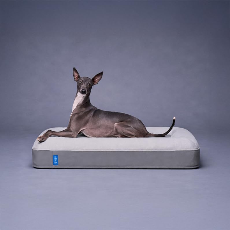 Amazon | グーグースリープ 犬 ペット ベッド スモール グレー gugu