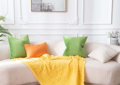 Image of JUSPURBET Velvet Decorative Throw Pillow Covers 14x14 Set of 2,Apple Green | Modern Soft Cushion Covers with Hidden Zipper for Couch Sofa Bed Living Room Bedroom Home Decor