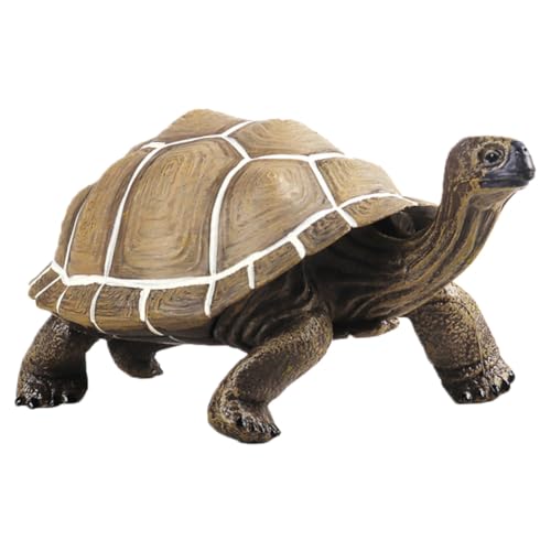 Tortue réaliste Hohopeti cadeau éducatif original pour garçons et filles