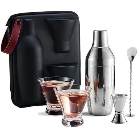 KITESSENSU Cocktail Shaker Set with Carry Case: Vacuum Insulated Martini Shaker with Built-in Strainer, 2 Martini Glasses, Measuring Jigger, Bar Mixing Spoon & Cocktail Recipes, Travel Bar Tool Set Cover