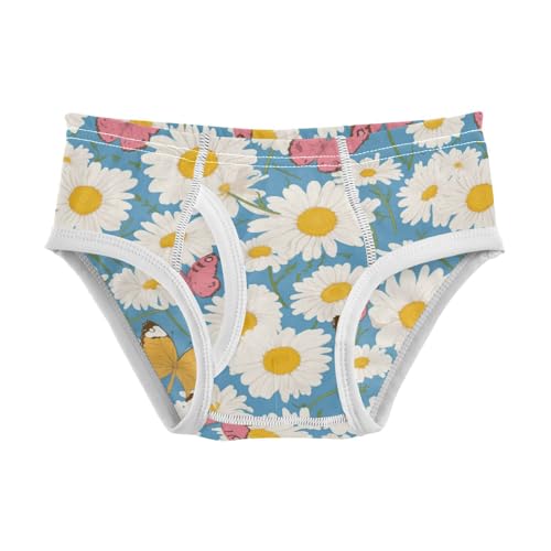 Wusikd Butterflies Boys' Underwear Cotton Daisies Boys Briefs Soft Toddler Underwear 2T