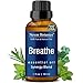 NEXON BOTANICS Breathe Essential Oil Blend 30 ml - Pure, Natural Blend from Eucalyptus, Peppermint, Rosemary and Niaouli Oils - Helps Relief Sinus, Colds, Allergy, Flu, Cough and Congestion