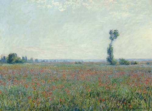 Champ de coquelicots de Claude Monet Graffiti Art Mural pour Décoration Salon Moderne 60x90