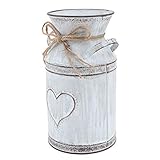 Feines Handwerk mit Eisenrahmen, wird nicht leicht zu brechen und zu knacken. Pflanzentopf Eisen Herzform Pflanzenhalter Elegante Blumentopf Eisenvase
