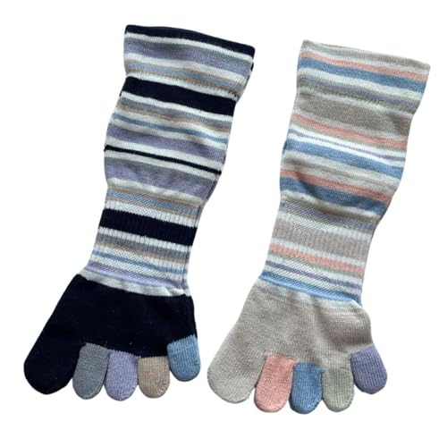 5{w\bNX fB[X O΍ 2g \100 T{wC fB[X X|[c {[_[  S QZbgiFCj