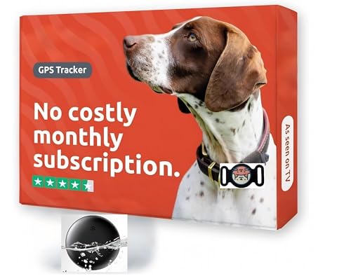 Traqueur GPS Bluetooth pour chat perdu : solution de suivi étanche sans abonnement