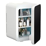 ARTETHYS Mini Fridge for Bedrooms 20L Small Car Fridge Mini Refrigerator with System Cooler and Warmer for Home Office, 220V AC/12V DC, Black