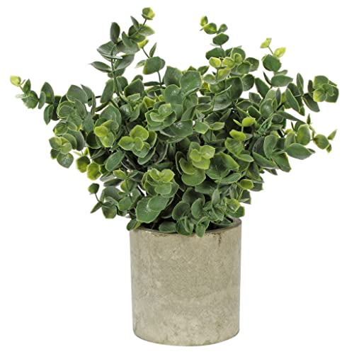 Encuentra reviews de Mercado de plantas artificiales los mejores 10. 34 Fantasias Miguel Arbolito de la Abundancia Artificial Verde Escarchado y Base Fina para Decoracion Decoracion Hogar y Oficina Mini Plantas Artificiales con Maceta tamaño de 22cm...