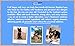 Lucy's Pet Skin Relief Spray for Dogs & Cats - Itch, Rash, Hot Spot, Allergy, Pyoderma Relief, Hypoallergenic, Organic Ingredients 12oz