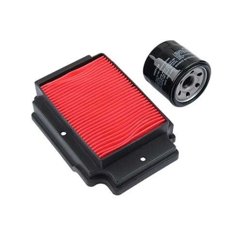Filtre à air Chinchilla300 de qualité supérieure pour admission moteur BD300-15