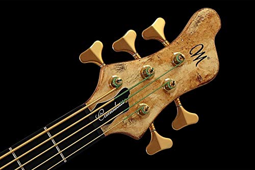 Optima 2299/B Ls Bass Gold Strings, Long Scale, 5-String Low B #TOP2