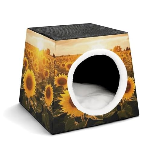 Sunshine Cat Dome with Cozy Cushion