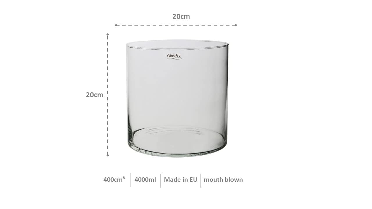 LOMUG Cilindervaas, grote glazen vaas, 20 cm, hoog, doorzichtig