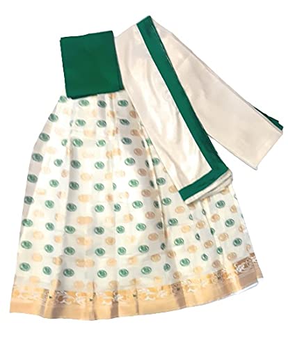 Ethnic wear girls pavadai davani set lehenga choli dhavani