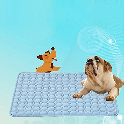 Tapis de refroidissement bleu pour chien en été et nid en peluche chaud pour les siestes au salon