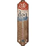 PRAKTISCH UND FARBENFROH: hochwertiges Innen-Thermometer aus Stahlblech mit den zwei vorgebohrten Löchern zur leichten Anbringung an der Wand
