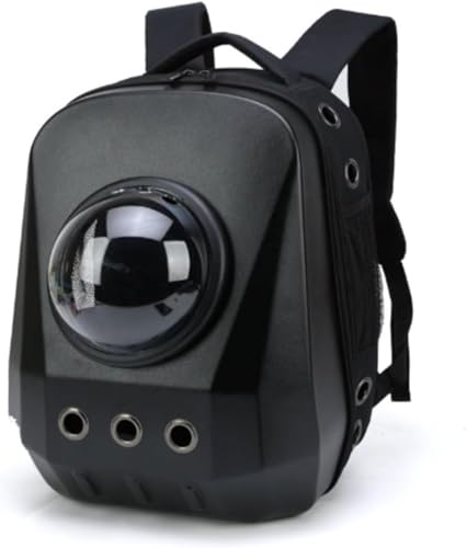 ybgL[obO ^ LbN ω׏d8Kg FDJvZ LX y ^p LpobNpbN (ubN)