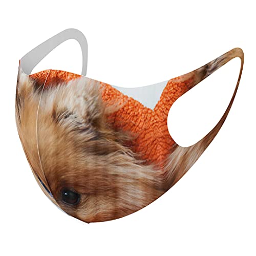 [igsticker] fUC }XN QZbg |GXe 􂦂 z}XN jp 008644 Aj} ʐ^Ei  ʐ^ IW