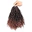 T30(Ombre Medium Dark Brown)