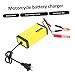 GANAZONO 12v Motorcycle Battery Charger Digital Display Trickle Charger for Automotive Agm Junior