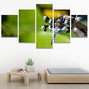 SIGNWIN 5 Panel Canvas Wall Art Fluttering Buzz...