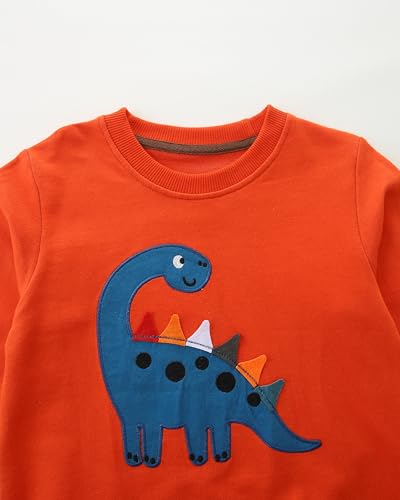 Image of AIWUHE Toddler Cotton Sweatshirt Boys Girls Pullover Long Sleeve Tops 2-6Y | Tops Blouse, Cotton T-Shirt, Fall Winter Clothes