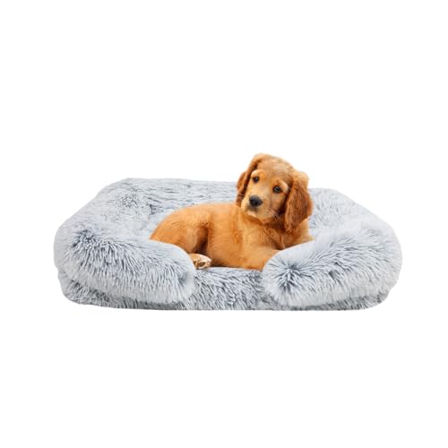 small dog beds
