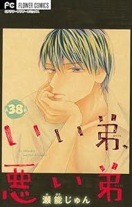 いい弟、悪い弟【マイクロ】（３８） (フラワーコミックス)