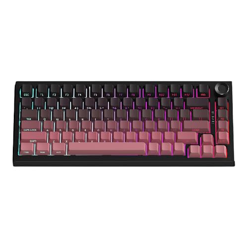 FANISA Q[~OL[{[h KXPbg JjJL[{[h 5wpbhmut 75% CX zbgXbpu Bluetooth/2.4GHz/USB-C RGB ZKF؎擾 (8000mAh,ubNx[sN)