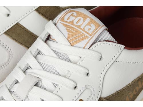 Image of Gola Hawk