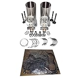 Seapple 2AB1 Overhaul Rebuild Kit Compatible with Isuzu Engine