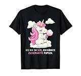 Lustige Einhorn Sprüche Outfit Einhörner Humor