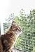 Kerbl Transparent Cat Safety Net, 4 x 3 m