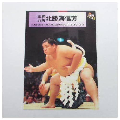 北勝海