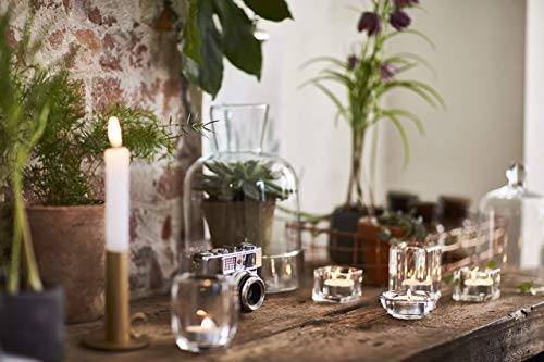 BOLSIUS 103630519700 Tealight, Paraffin Wax, White, Pack of 50 8 Hour Tealights