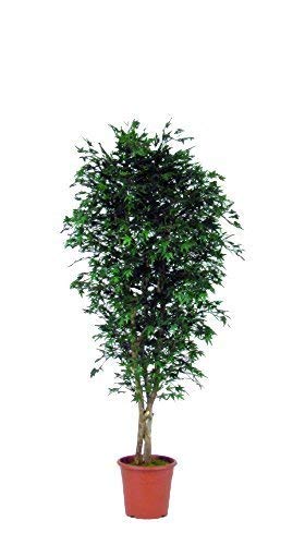 NEW GREEN | Acero Mini Verde, Pianta Seminaturale, Albero con Tronco Naturale, da Arredo Interno, Altezza 125 cm