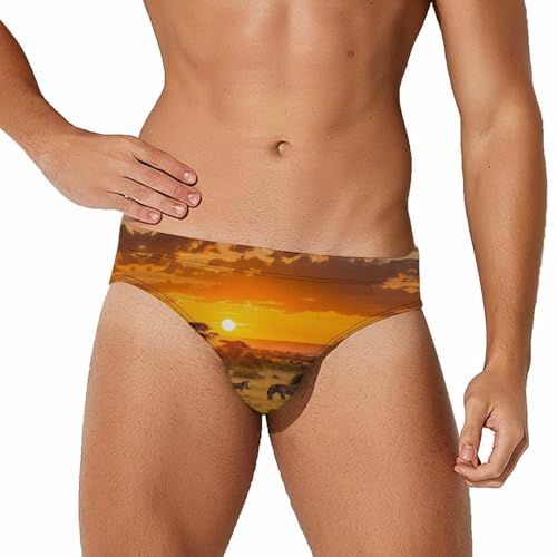 African Animals Wildlife Sunset Men's Swim Trunks Briefs Swimsuit Swimwear Bathing for Underwear Beach